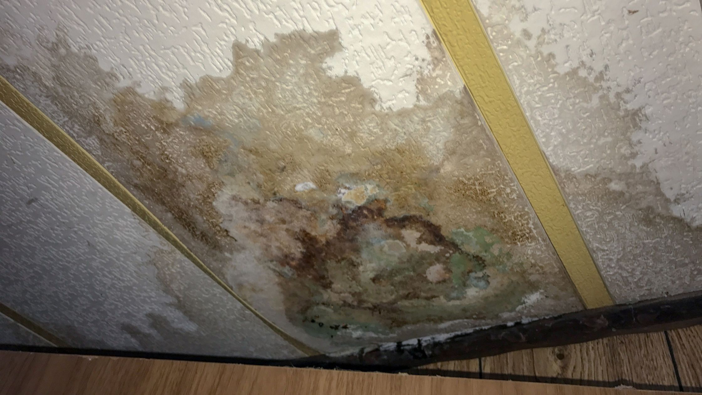 How to Spot Water Damage and What to Do About It